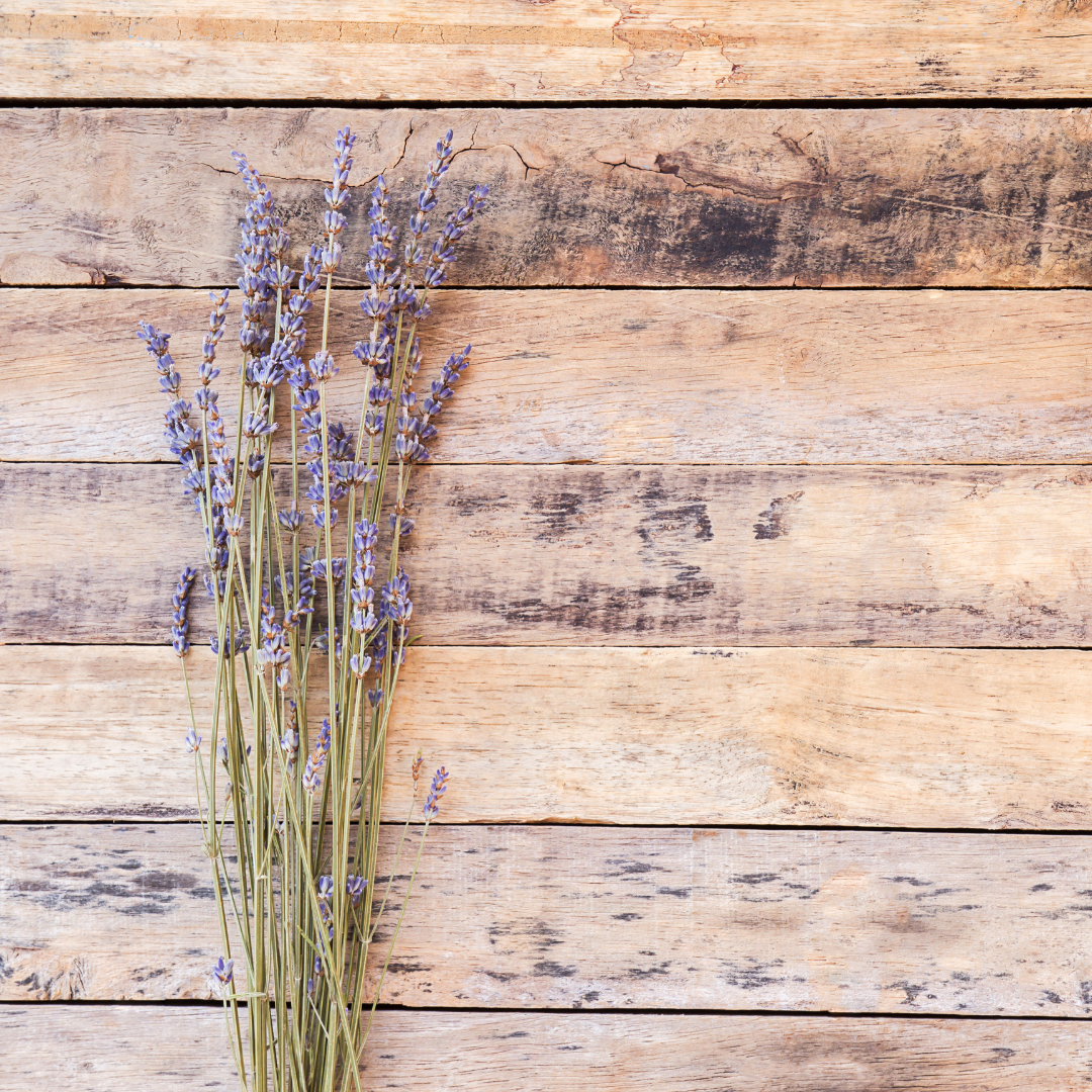 Lavender + Aged Oak Softie | Luxury Collection