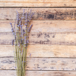 Lavender + Aged Oak Softie | Luxury Collection