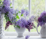 Lilac Garden Softie | Floral Collection